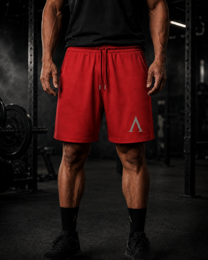 Warrior Premium Gym Shorts – 300GSM Organic Cotton