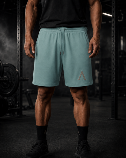 Warrior Premium Gym Shorts – 300GSM Organic Cotton
