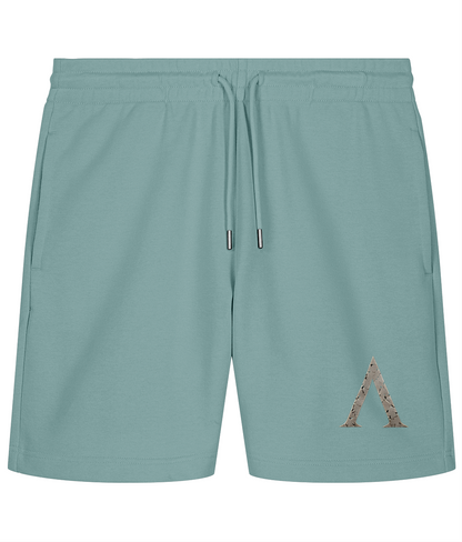 Warrior premium gym shorts in Teal Monstera, front view