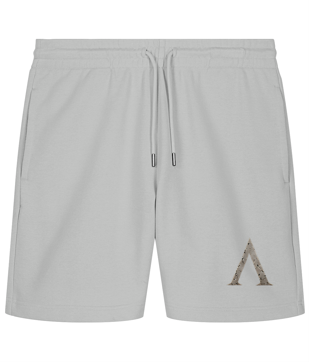 Warrior premium gym shorts in Heather Grey, front view